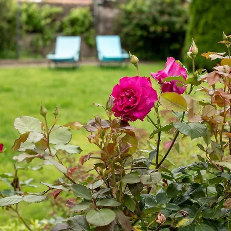 Maison Du Chateau, Spacieuse Et Charmante Pres Du Puydufou Mortagne-sur-Sevre