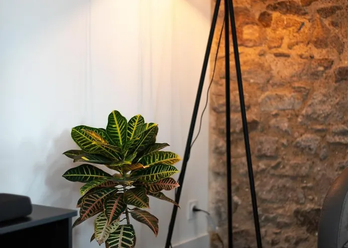 Maison Du Chateau, Spacieuse Et Charmante Pres Du Puydufou 度假居