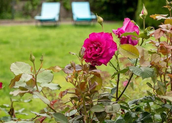 Maison Du Chateau, Spacieuse Et Charmante Pres Du Puydufou Mortagne-sur-Sevre